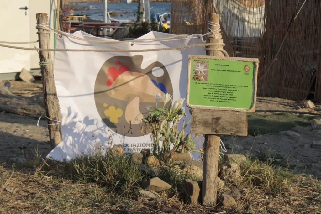 Da Civitavecchia e da Bioma parte la riscossa della diversità micologica - TRC Giornale