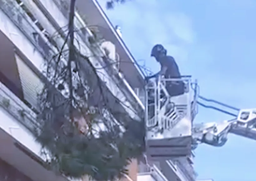 Tragedia sfiorata nel giorno di festa a Ostia: grosso ramo si stacca e rischia di travolgere pedoni e auto (VIDEO)