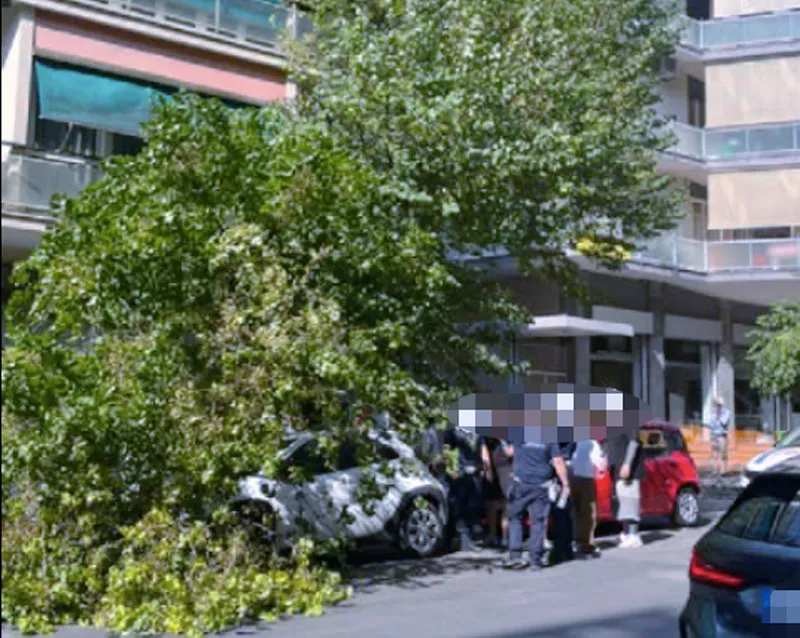 "Il verde pubblico cade a pezzi": denuncia all'Appio Latino dopo il nuovo crollo sui veicoli in sosta (FOTO)