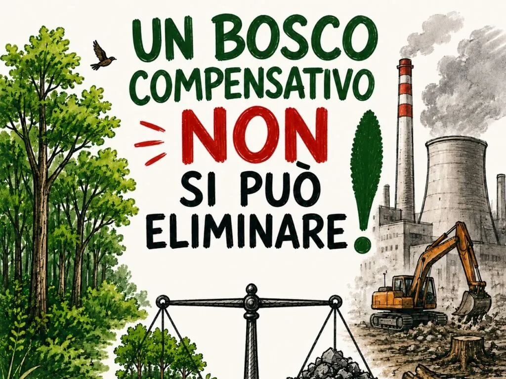 Giornata Mondiale dell’Ambiente, il comitato Salviamo il bosco di Civitavecchi scrive al Mase