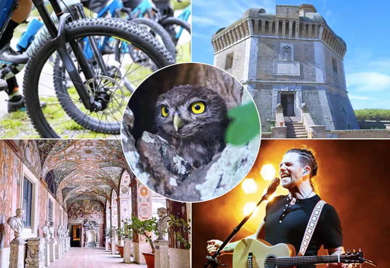Che fare a Roma e Litorale romano nel weekend dal 25 al 27 settembre: dove si entra gratis