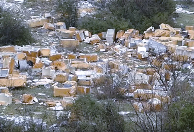 Bomba ecologica della "Frigo Valley" viaggia via fiume verso Roma: intercettata nuova flotta di carcasse