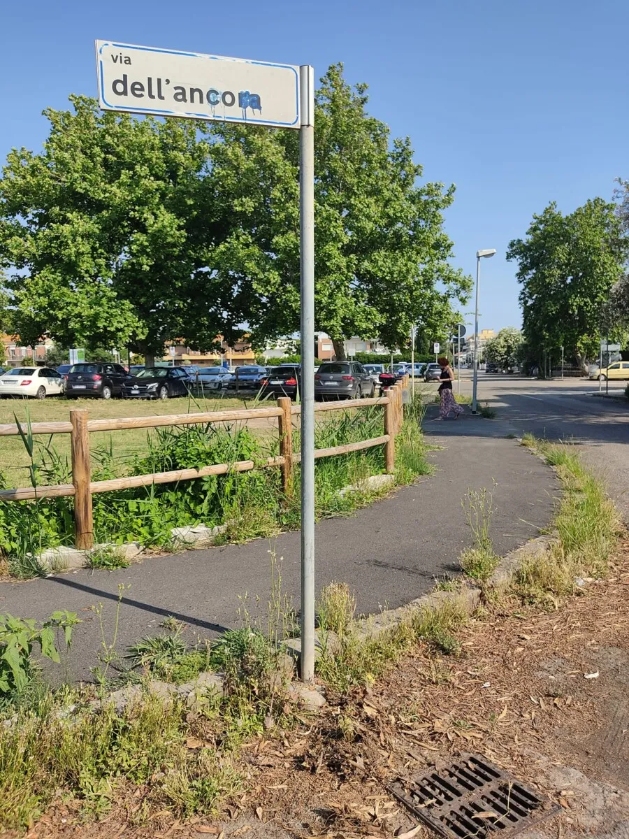 A Tarquinia Lido manutenzione straordinaria di strade e marciapiedi oltre alla nuova differenziata • Terzo Binario News