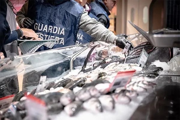 Operazione "Fair Fish Catch": blitz della Guardia Costiera al mercato ittico di Civitavecchia - TRC Giornale
