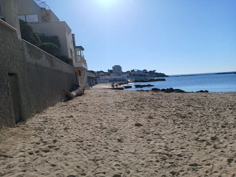 Santa Marinella, al via la pulzia delle spiagge libere - TRC Giornale